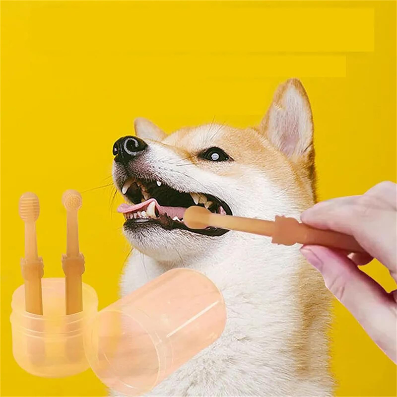Zestaw do wybielania zębów dla – Teeth Whitening Toothbrush recenzja i cena